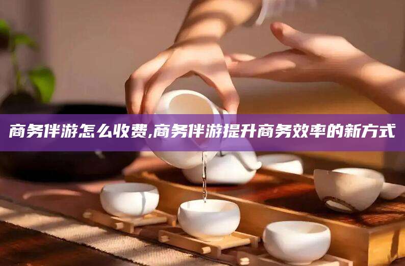 张掖商务伴游怎么收费,商务伴游提升商务效率的新方式